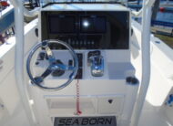 2022 Sea Born LX 24 LE